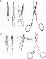 Artery Forceps